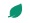 capsula vegetal